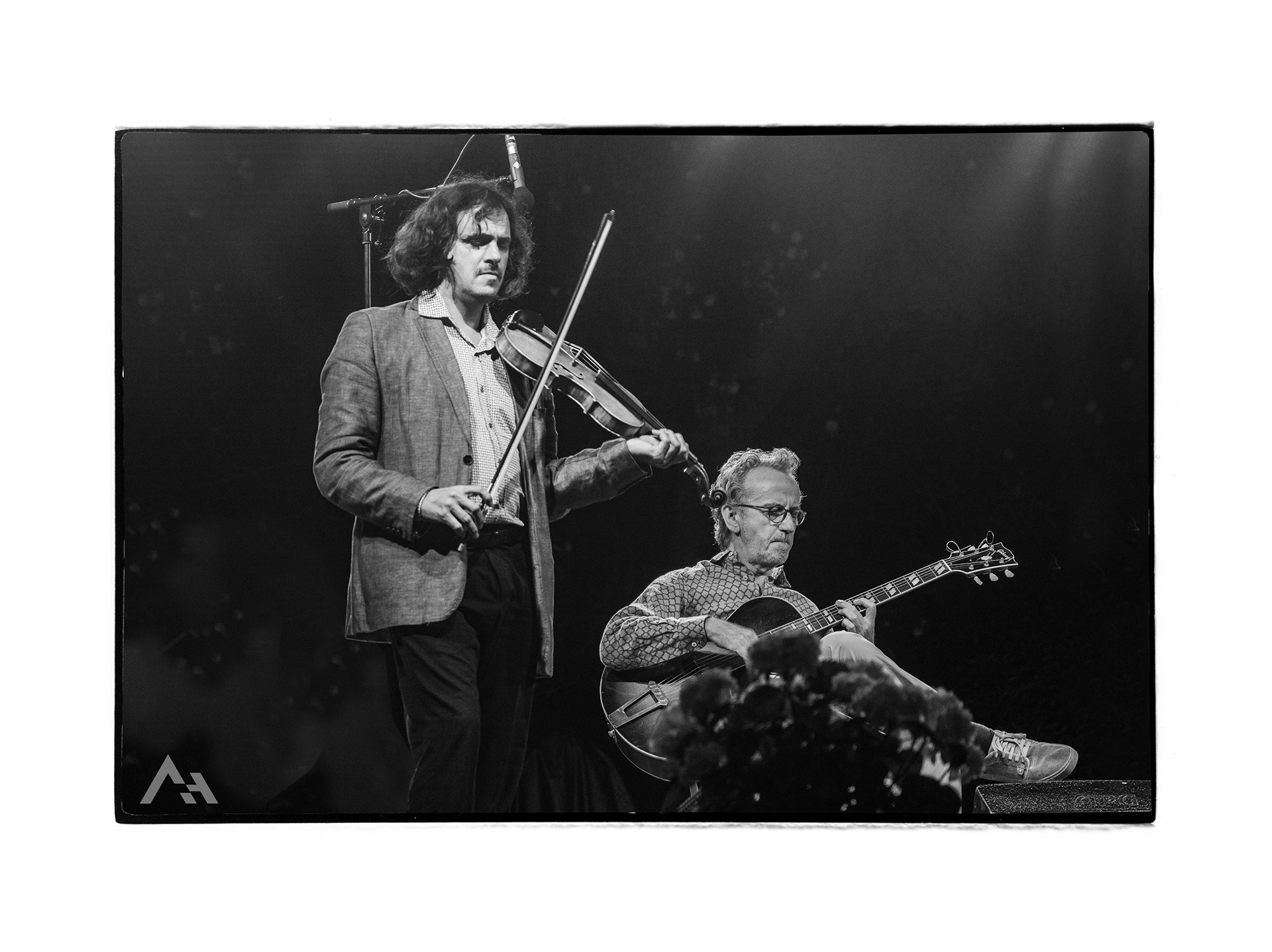 The viper Club - Limberger - Kelbie